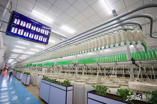 江西于都智慧工廠 智造服裝新紀元，鳳凰網江西引領網絡技術服務