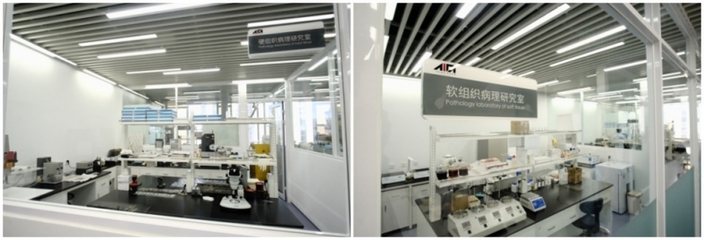 上海技術(shù)服務(wù)有限公司 專業(yè)驅(qū)動(dòng)，智領(lǐng)未來(lái)