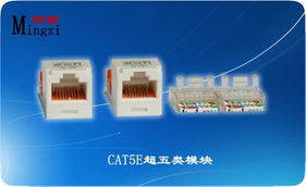 上海明西網絡科技有限公司信息面板產品列表及網絡技術咨詢服務概覽